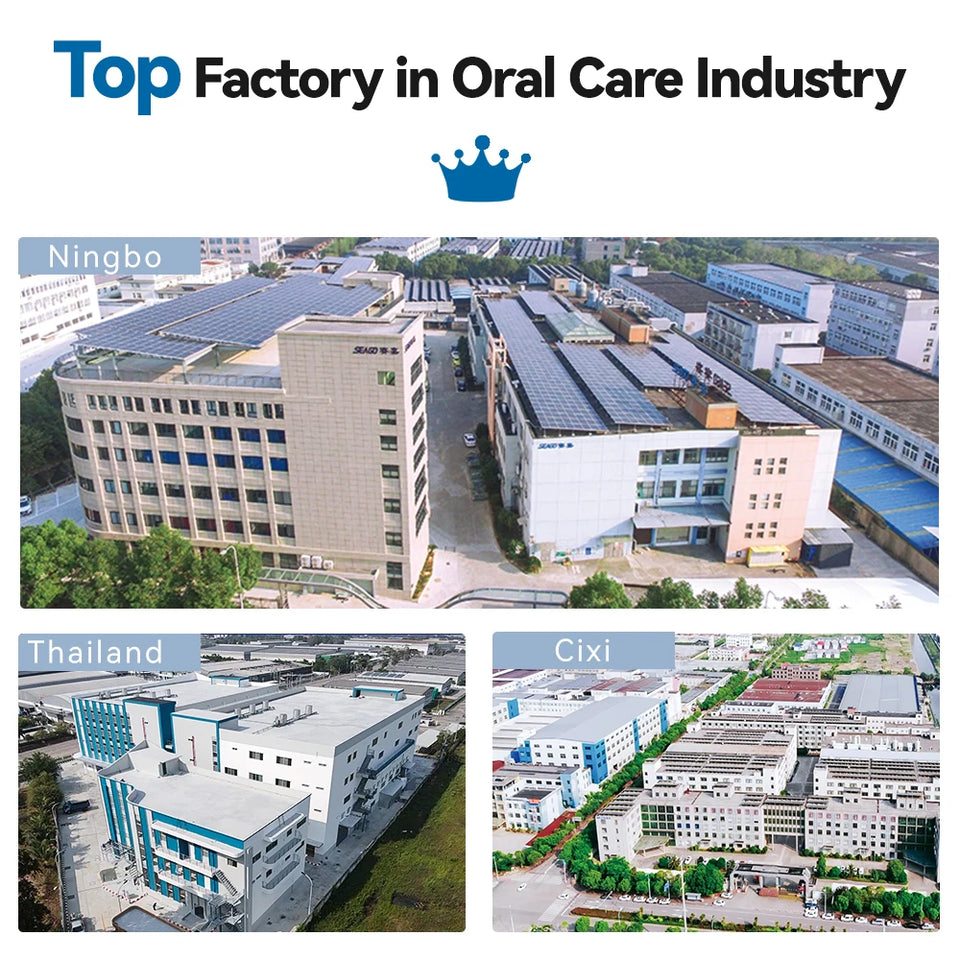 Seago Sonic Electric Toothbrush – USB Rechargeable Ultrasonic Tooth Brush with 10 Replacement Heads