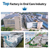 Seago Sonic Electric Toothbrush – USB Rechargeable Ultrasonic Tooth Brush with 10 Replacement Heads