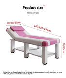 Professional Massage Stretcher Lit De Spa Stretchers Portable Bed Beautician Table Camillas Electricas Para Spa De Belleza