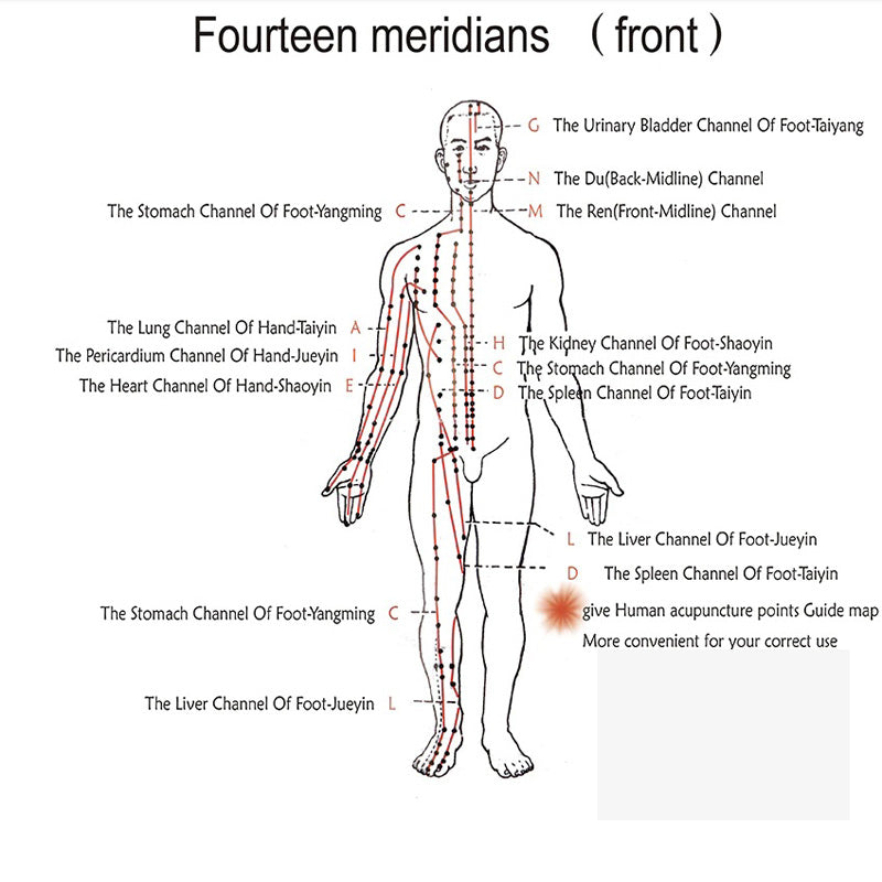 Hwato SDZ III Electro Low-Frequency Acupuncture Stimulator 6 Channels Acupuncture Needle Treatment for Nerve and Muscle Massage