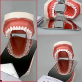 Dental Orthodontic LED Photo Mirror – Fog-Free Stainless Steel Oral Imaging Reflector