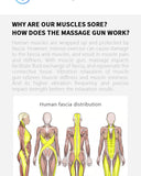 BOOSTER Pro 3 Massage Gun – Deep Tissue Muscle Stimulator & Body Massager