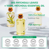 HIQILI 100ml Patchouli Essential Oil – 100% Pure Natural for Aromatherapy, Diffusers, Massage & Candle Making