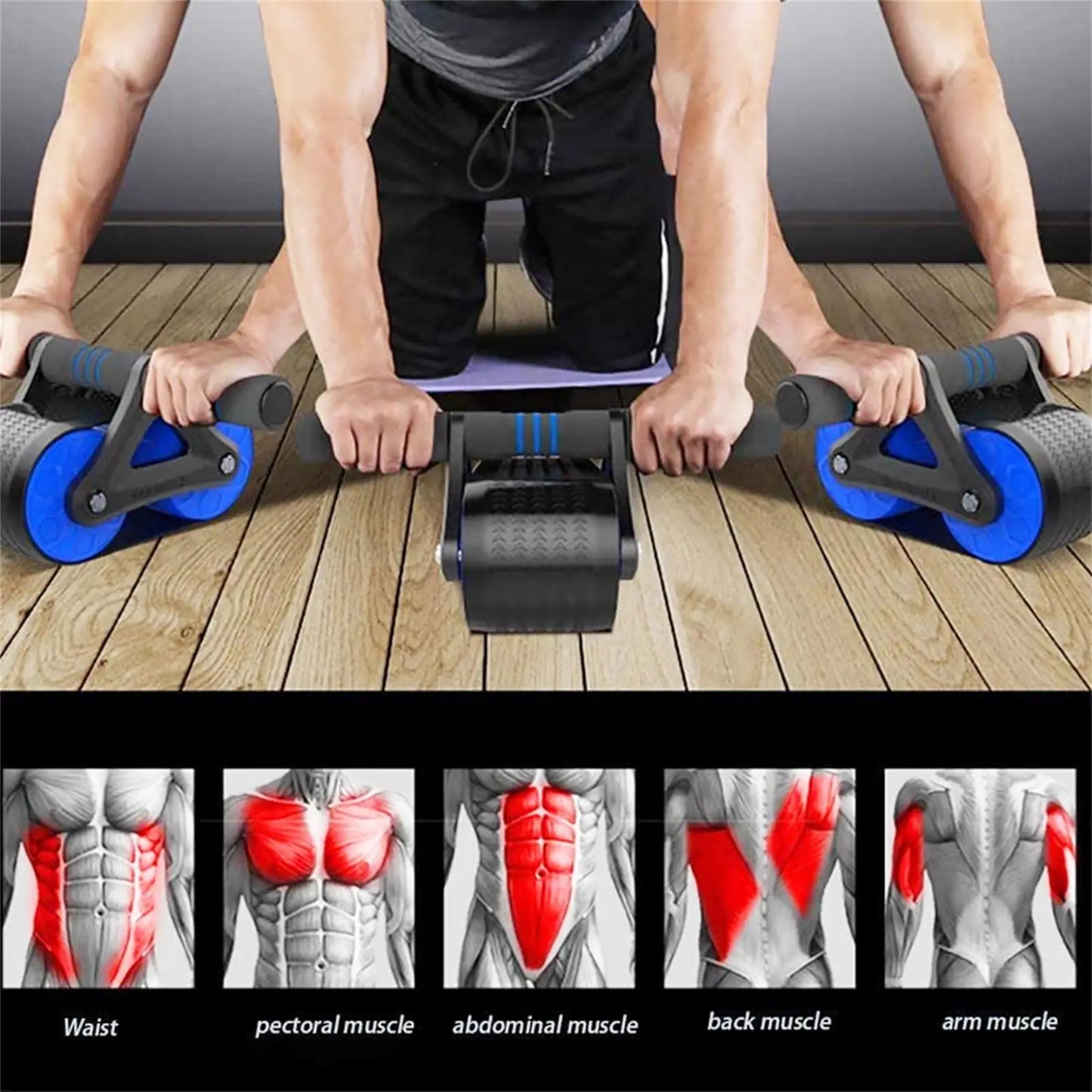 Blue Springback Abdominal Roller Wheel – Silent Core & Push-Up Training Fitness Equipment